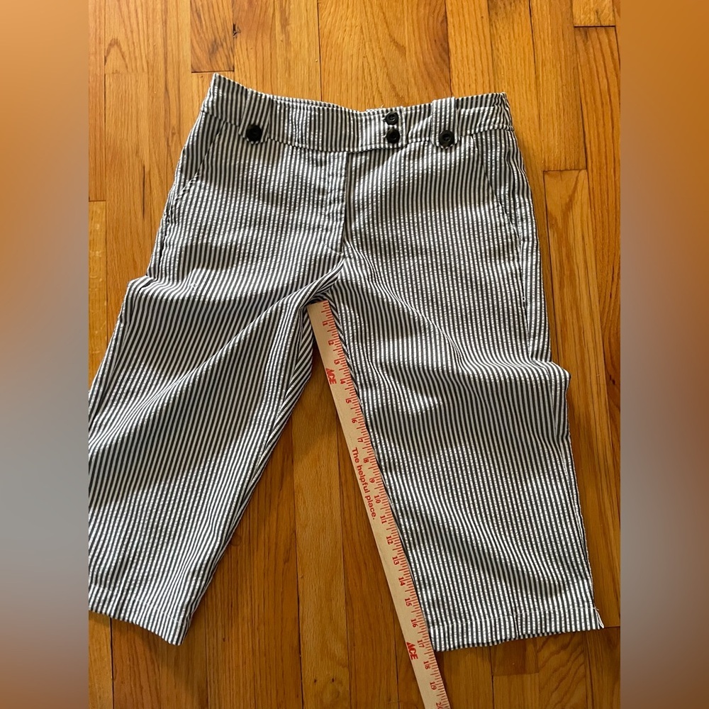 Sag Harbor Blue and White Striped Seekerrsucker Cropped Capris Pants 10 petite